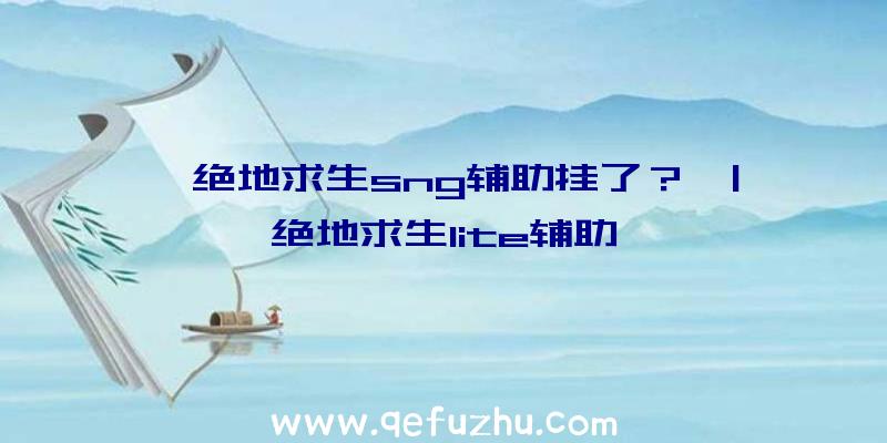 「绝地求生sng辅助挂了？」|绝地求生lite辅助